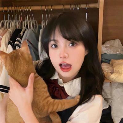 为什么猫都叫不来