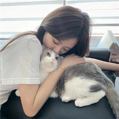 好梦一日游